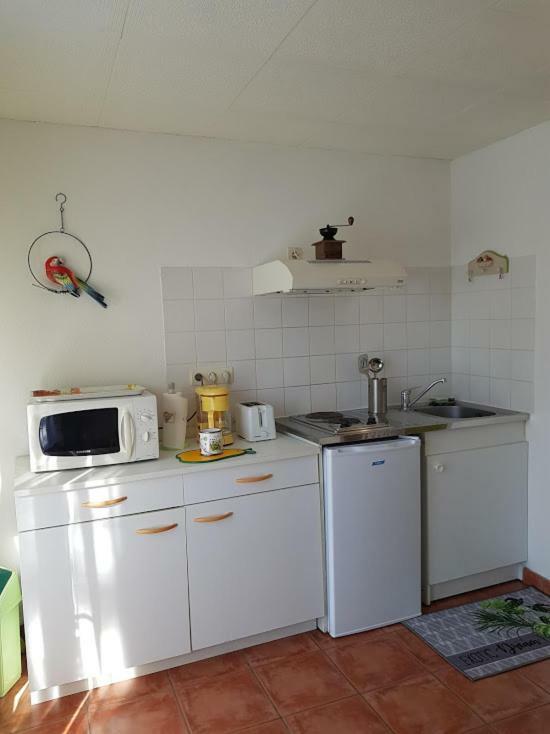 Studio Cote Sud Vert Sarlat-la-Canéda Eksteriør billede